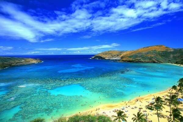 Tropical beach at the height of the season