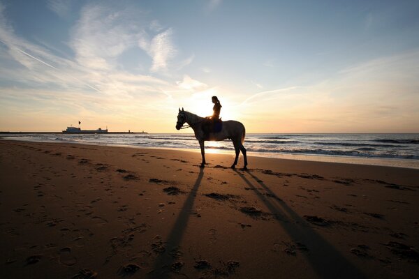 A girl on a horse against the sunset