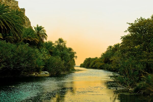 Beautiful nature - tropical trees and a river