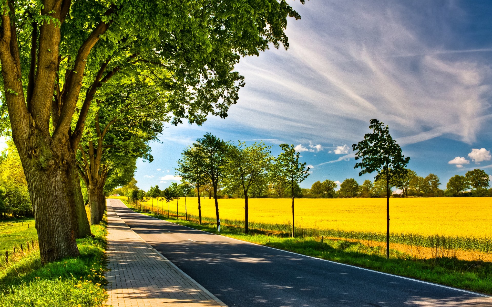 landscapes landscape nature rural tree road countryside grass summer guidance fair weather wood leaf sun outdoors country bright scenic field perspective trees plants way