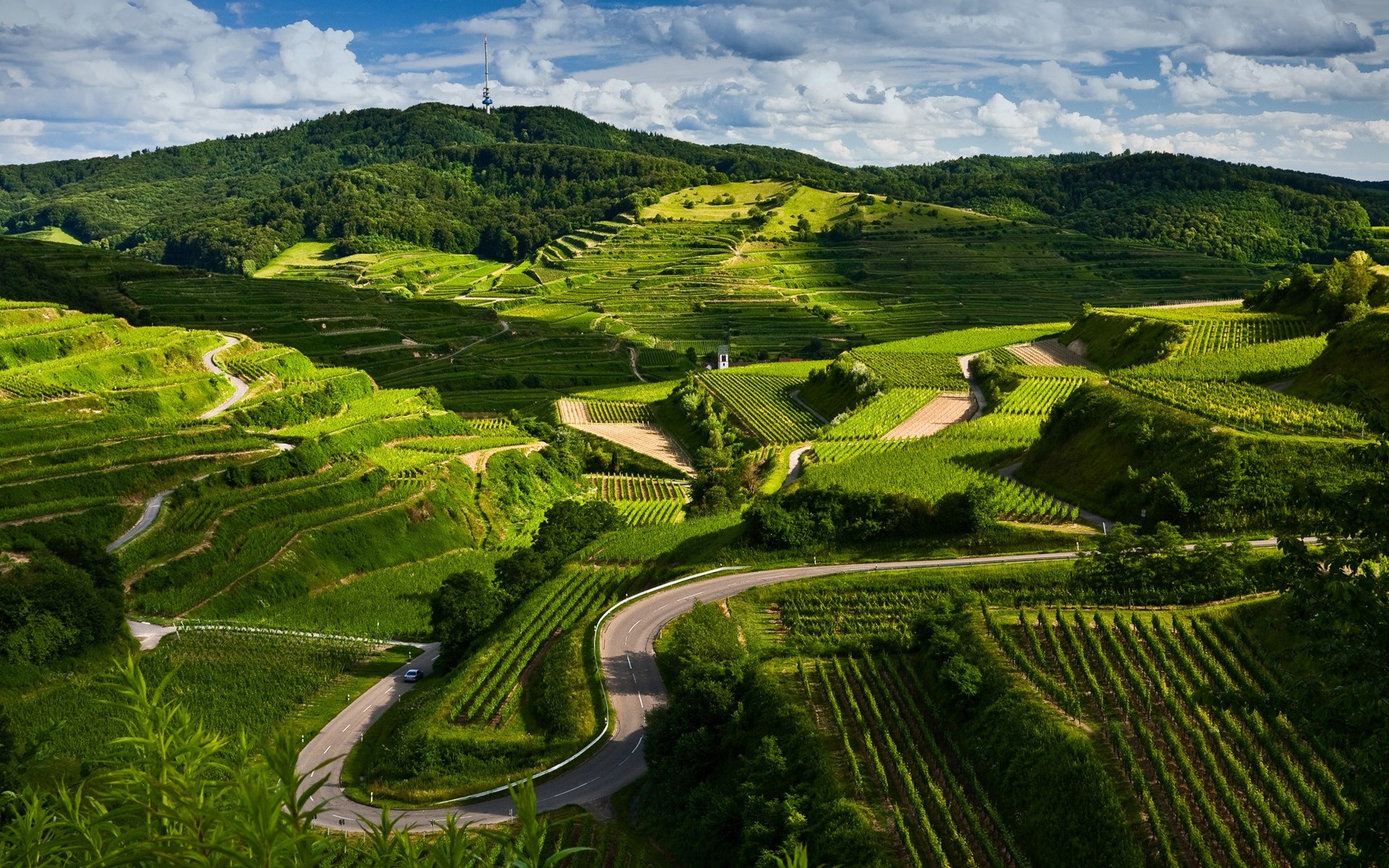 paysage terres cultivées agriculture voyage paysage campagne vignoble vallée ferme nature colline champ rural extérieur terres agricoles ciel arbre herbe montagnes architecture herbes vue