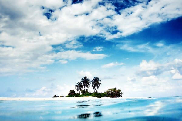 समुद्र में ताड़ के पेड़ों वाला एक द्वीप और एक नीला आकाश