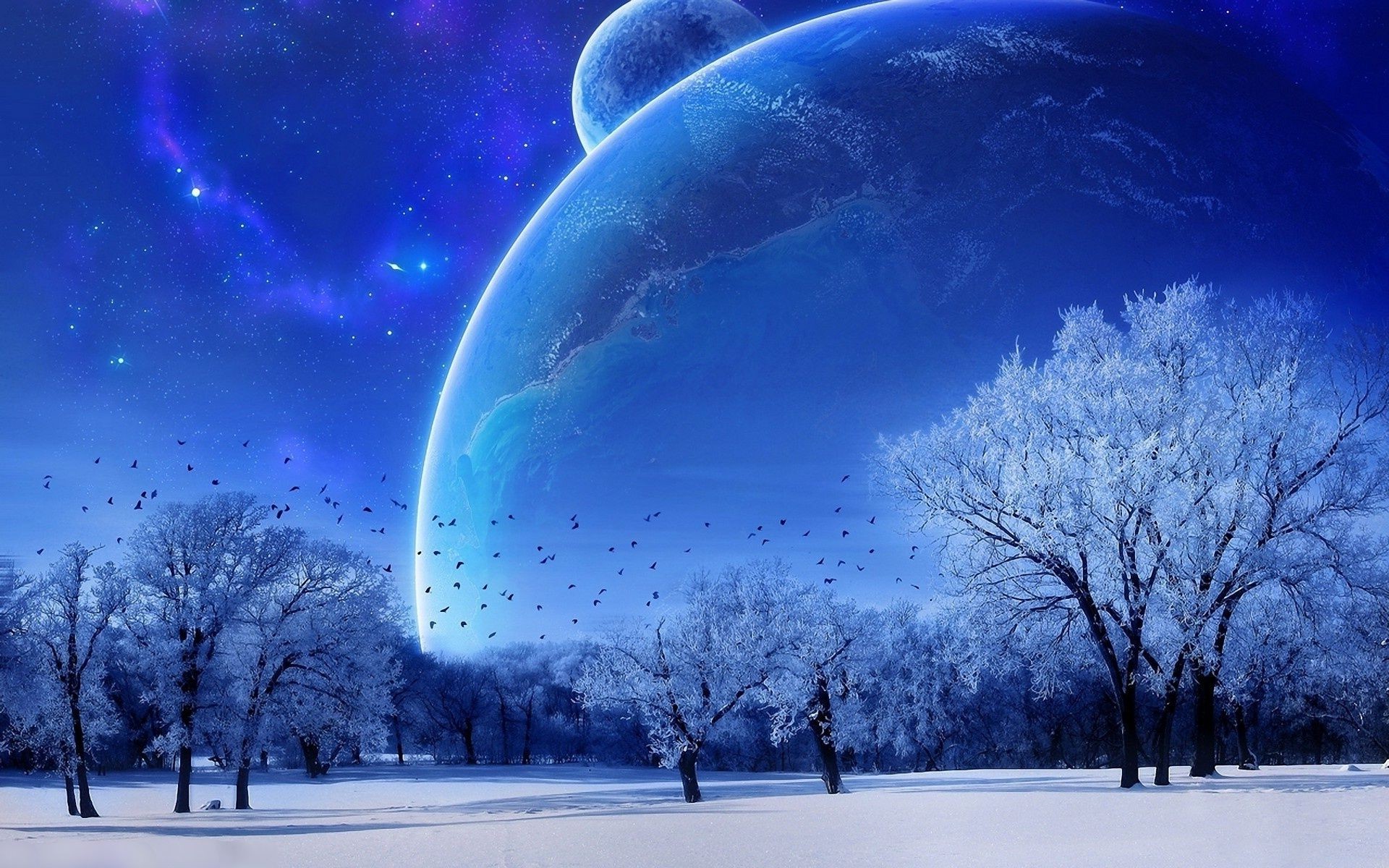космос зима снег погода пейзаж холодная природа дерево свет небо яркий