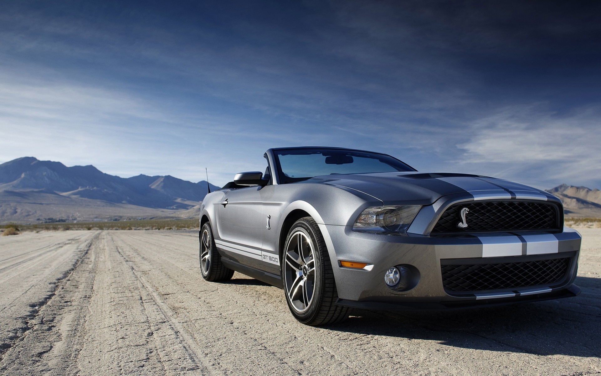 ford coche coche sistema de transporte asfalto mediodía negro ruedas acera rápido unidad automóvil shelby