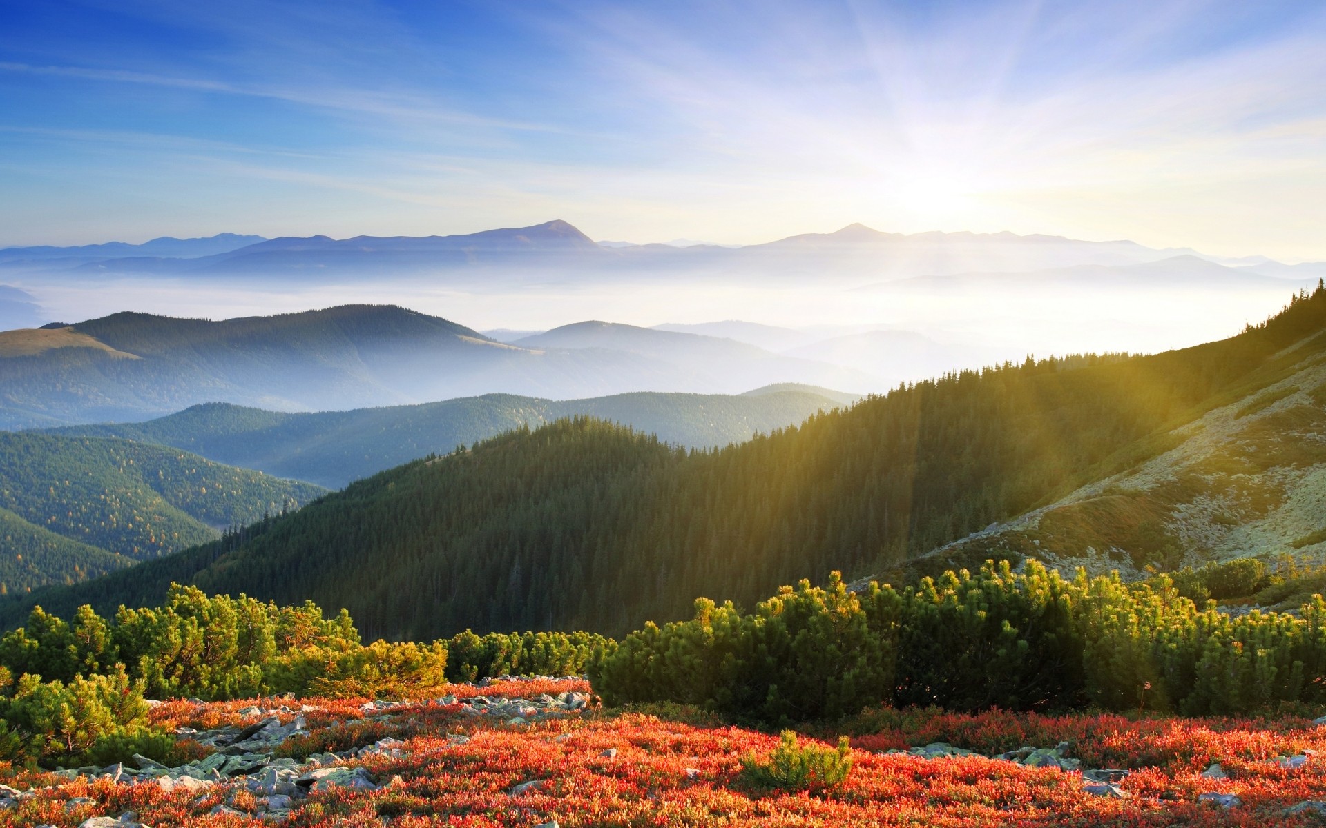 landschaft landschaft im freien natur reisen berge himmel landschaftlich baum herbst tageslicht bebautes land landschaft blume bäume pflanzen berge