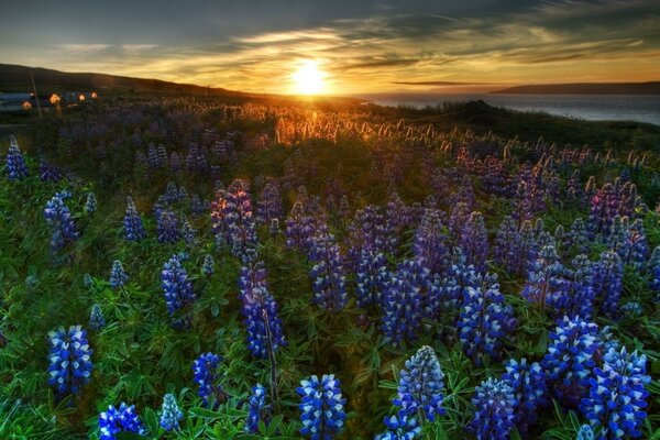 El sol se pone detrás de las montañas