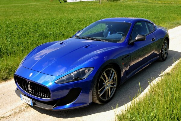 Blauer Maserati auf Feldhintergrund