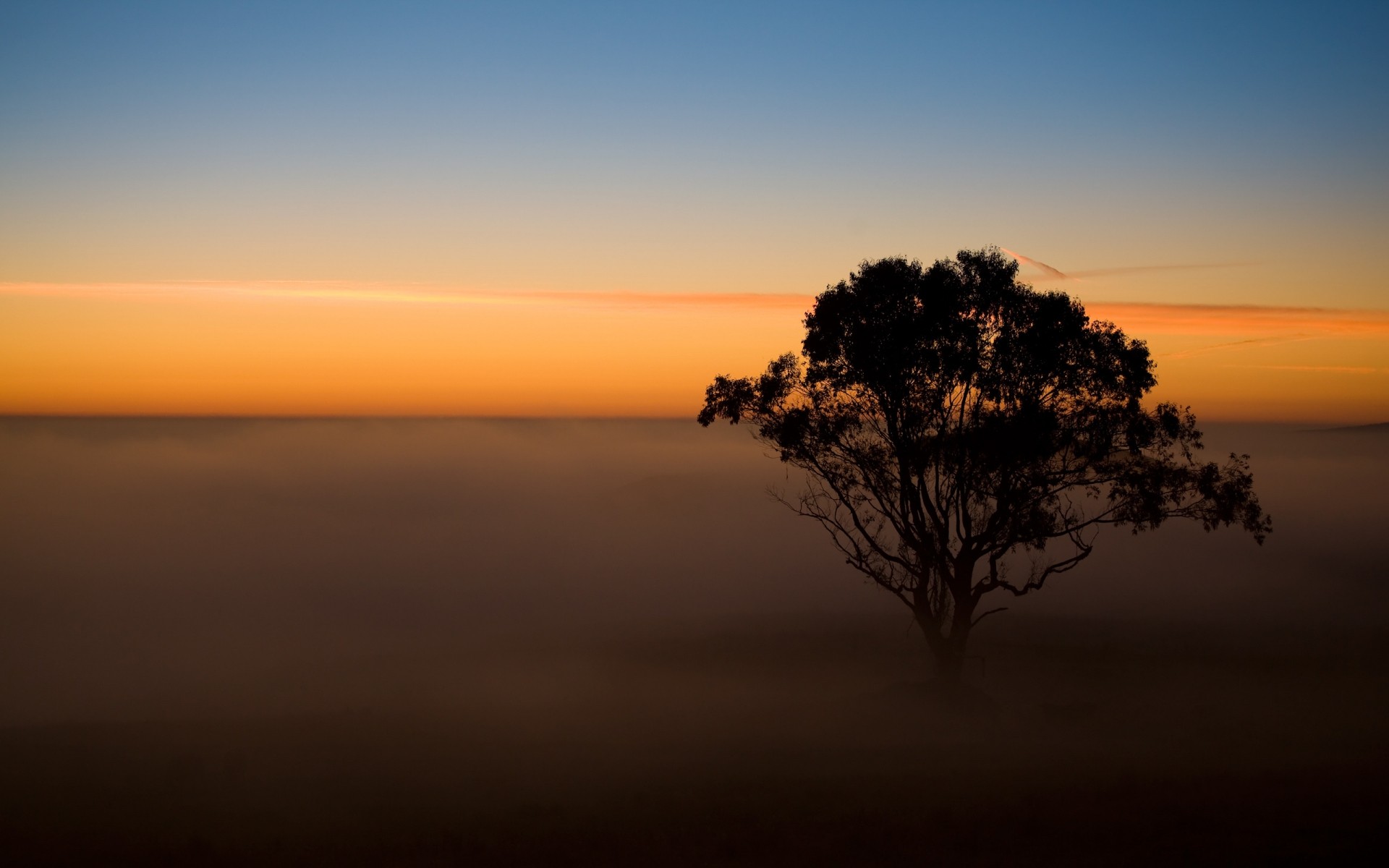 paysage coucher de soleil aube soleil soir crépuscule rétro-éclairé ciel paysage eau silhouette nature plage arbre mer beau temps brouillard lumière océan brouillard