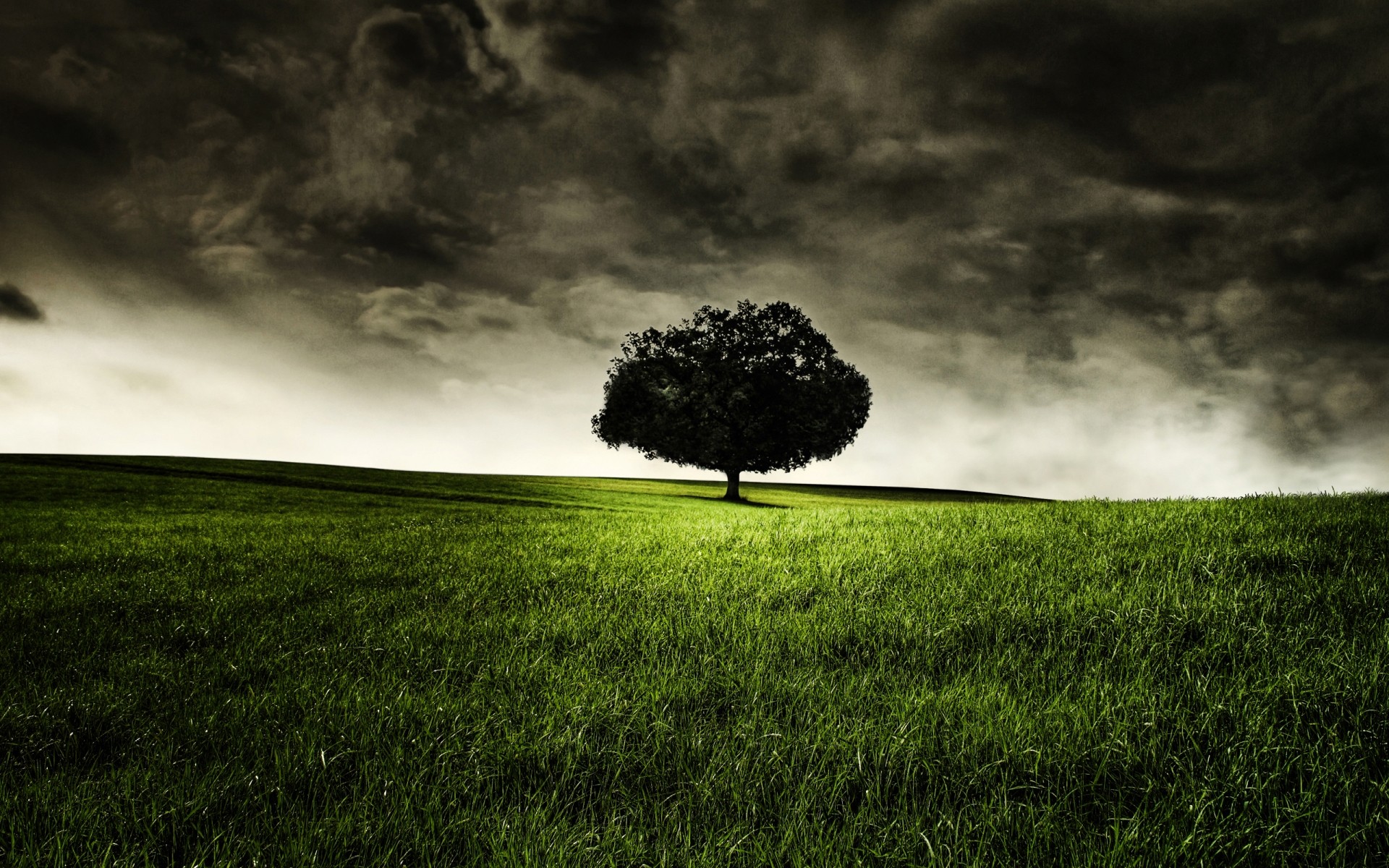 paisaje paisaje hierba tormenta cielo árbol naturaleza tiempo campo lluvia campo amanecer nublado nube niebla heno suelo oscuro vista drh