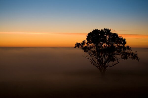 Colorful sunset in a foggy field