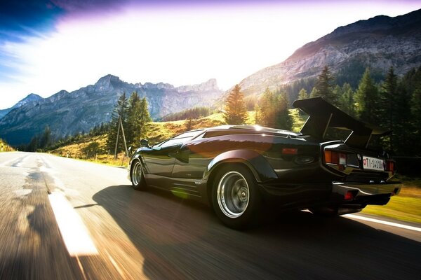 Un auto sportiva guida su strada nella natura