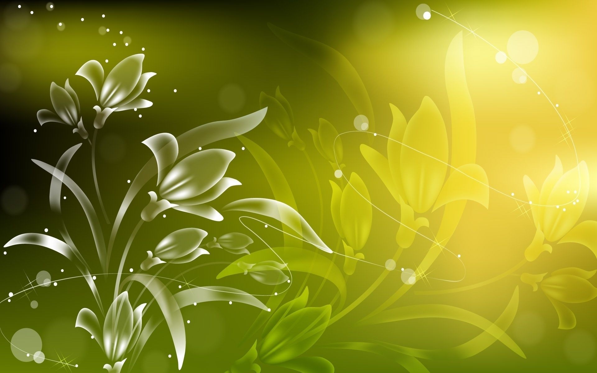 цветы лист флора рабочего стола природа аннотация иллюстрация дизайн цветочные цветок лето украшения яркий сад цвет элемент