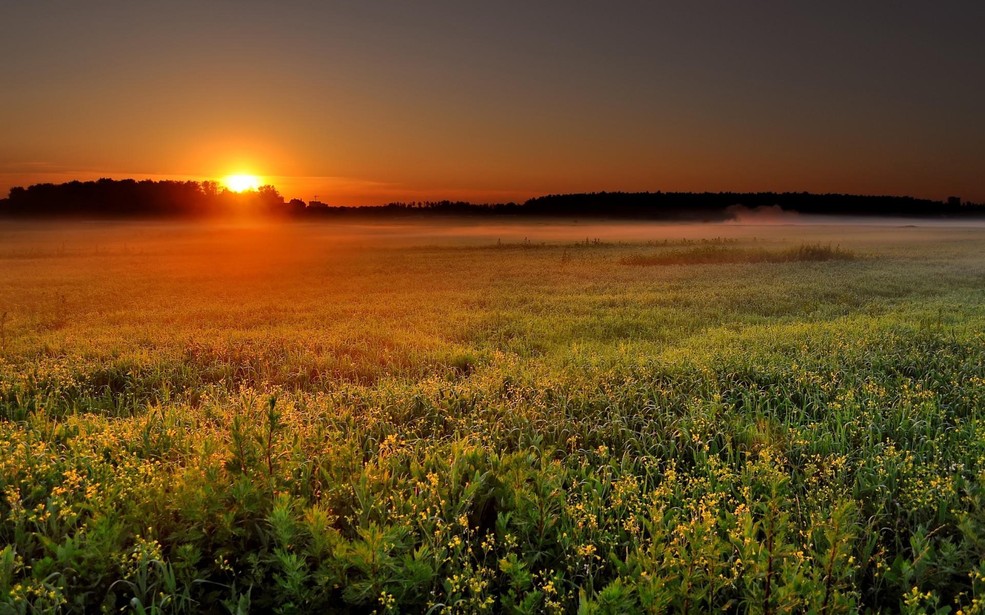 paisaje puesta de sol amanecer paisaje sol naturaleza cielo anochecer noche buen tiempo verano al aire libre paisaje plantas