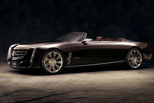 Black Cadillac with a hinged roof