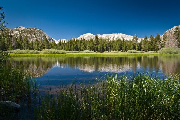 See im Hintergrund der Berge