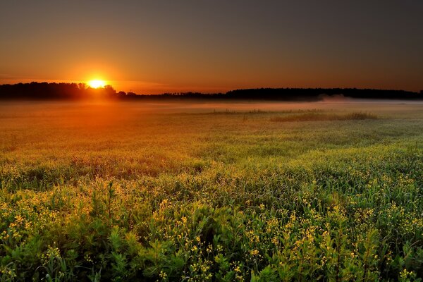 Aube d été chaude dans la Prairie