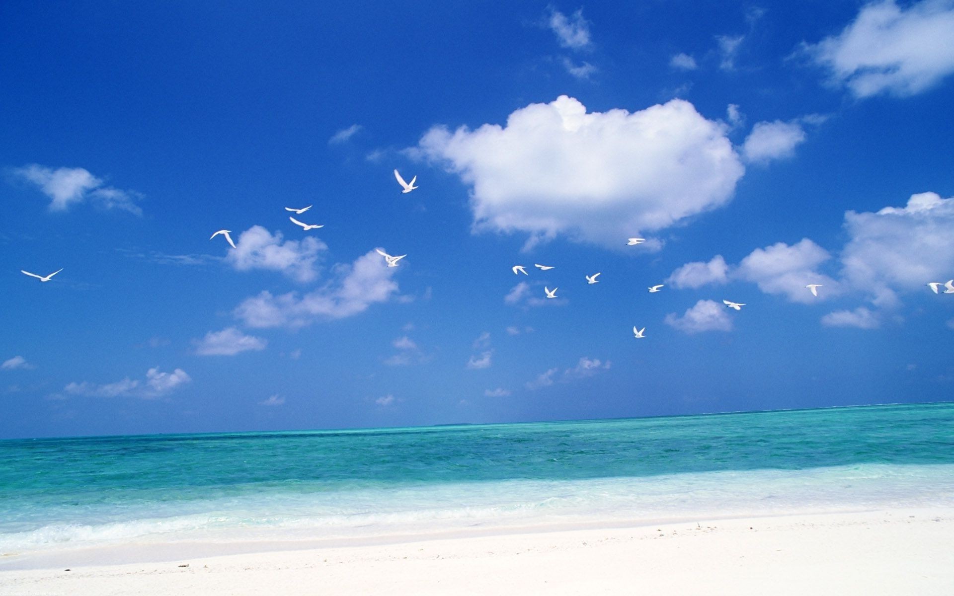 meer und ozean sommer sand wasser sonne gutes wetter natur strand tropisch idylle ozean himmel meer reisen entspannung landschaftlich insel heiß frieden urlaub