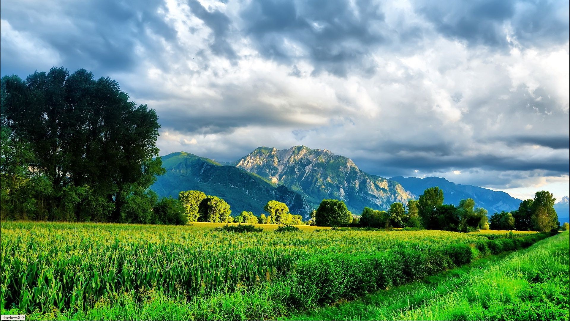 felder wiesen und täler natur landschaft des ländlichen sommer landschaft himmel im freien landwirtschaft baum gras gutes wetter feld reisen