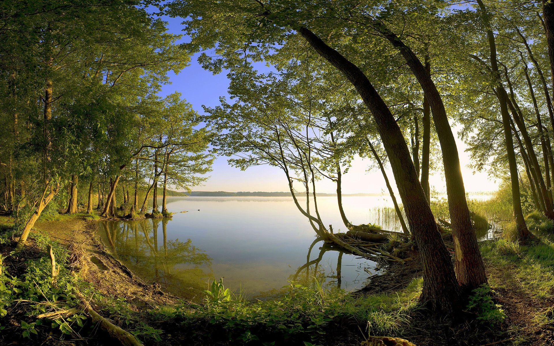 rivers ponds and streams landscape tree wood nature water leaf lake park fall dawn environment river reflection scenic grass light flora summer sun