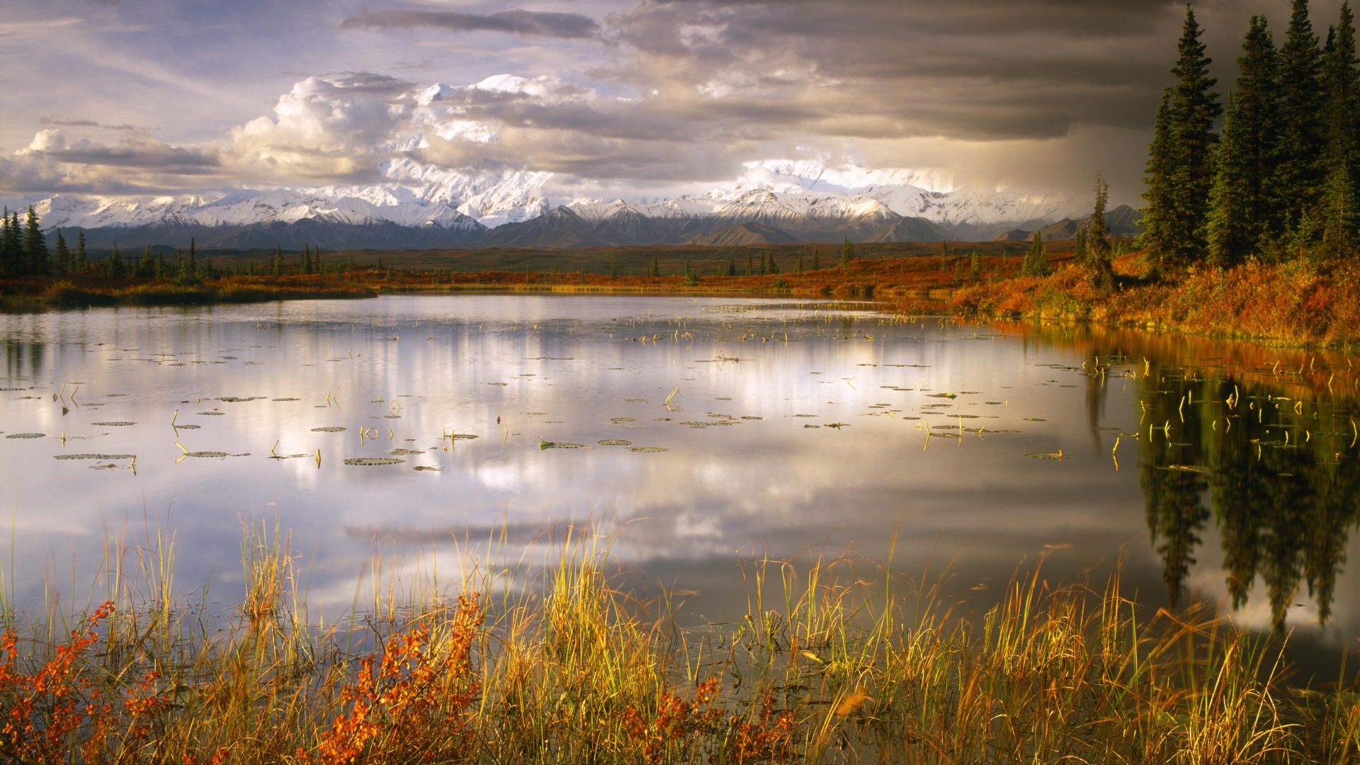 lake reflection water fall landscape nature dawn river outdoors sunset marsh sky tree pool bog wood scenic leaf fair weather