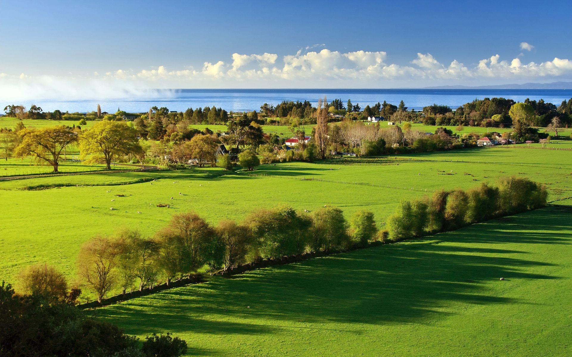 felder wiesen und täler golf putten landschaft fairway gras golfer natürlich t-stück natur baum bunker loch landschaftlich heuhaufen dampf landschaft feld im freien ländlich