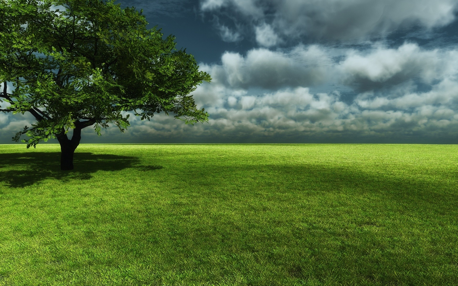 frühling landschaft gras baum natur heuhaufen feld sonne landschaft des ländlichen raumes sommer dämmerung himmel im freien gutes wetter rasen blatt