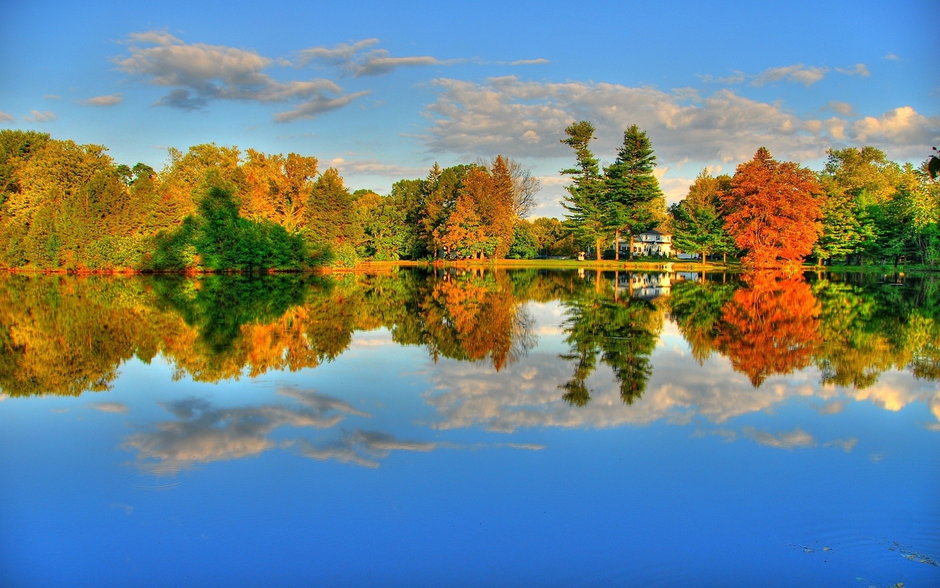 otoño árbol naturaleza otoño paisaje cielo al aire libre puesta de sol escénico sol amanecer noche madera temporada buen tiempo hoja luz del día lago viajes color