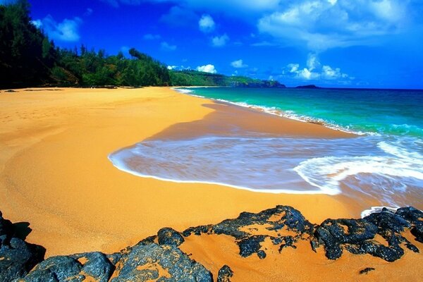 Sandy beach by the blue ocean