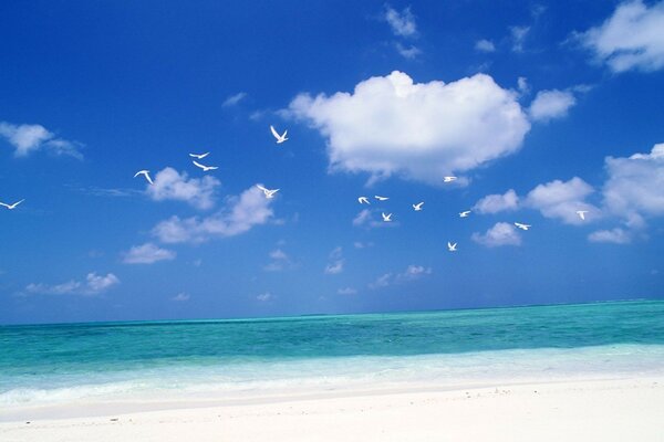 Ozeanlandschaft mit blauem Himmel