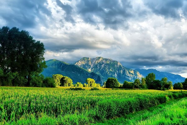 Natural landscape with a green field and mountains in the distance