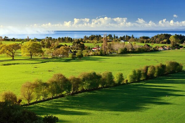 Sonnige Landschaft mit grünen Feldern