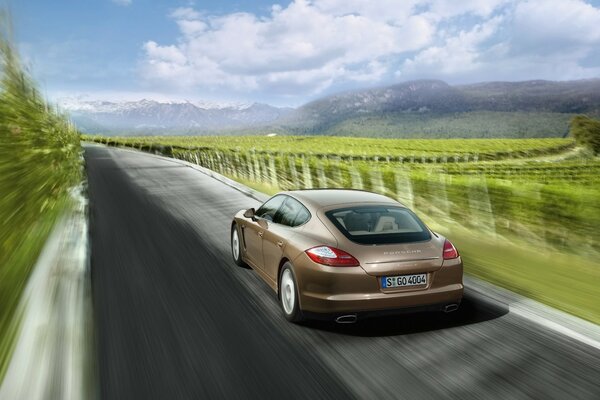 Porsche rast auf der Autobahn vor der Kulisse der Natur