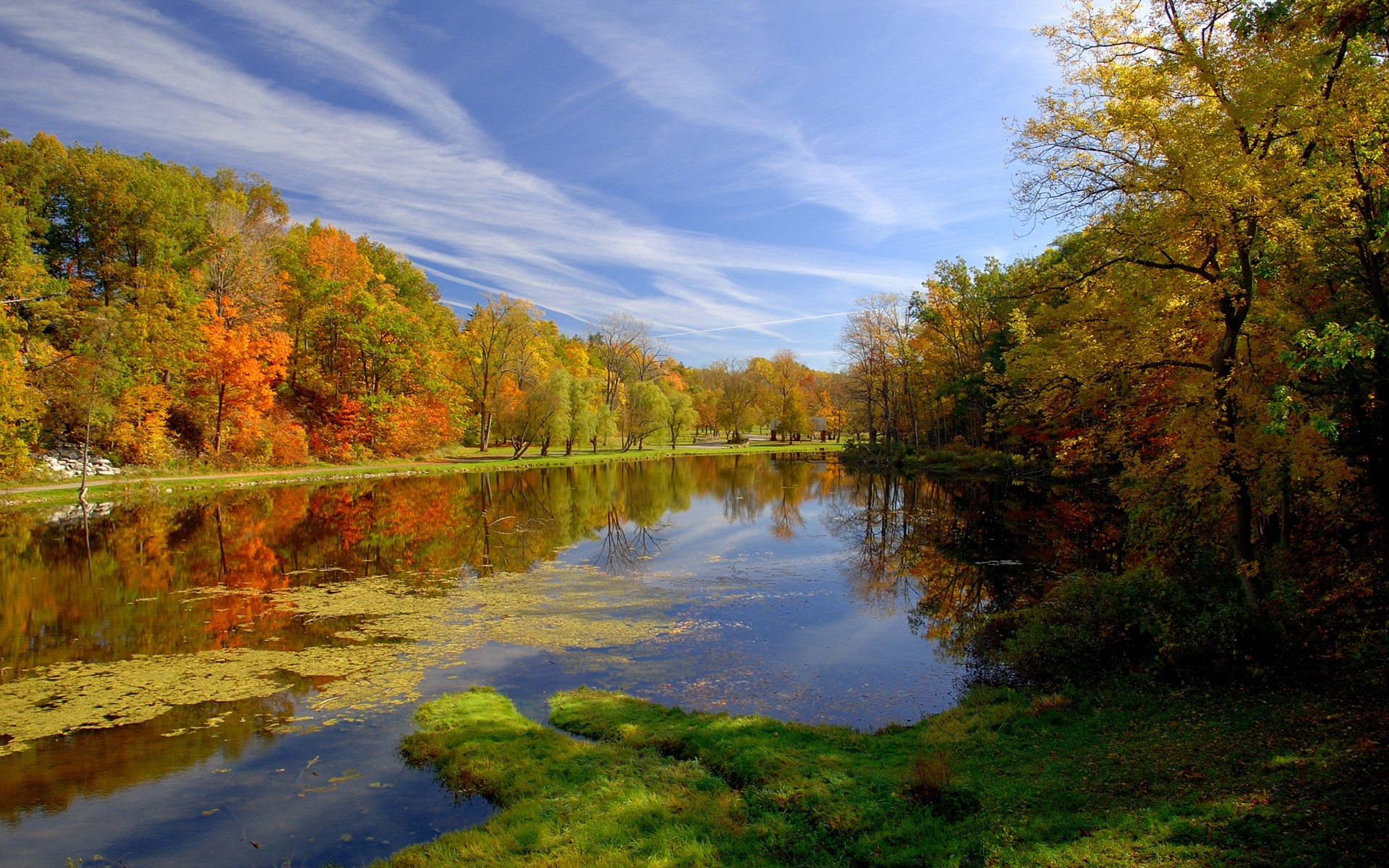 autumn fall landscape tree nature lake wood water river leaf reflection outdoors scenic dawn pool park season composure scenery trees