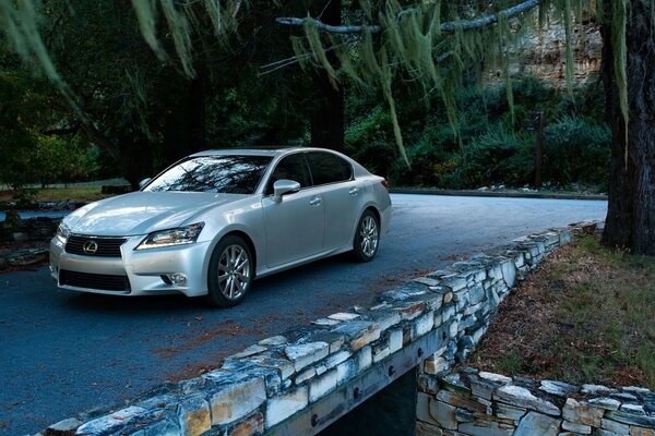 Lexus cavalca un ponte sotto gli alberi