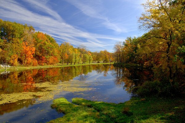 Pagina della foresta autunnale con il fiume