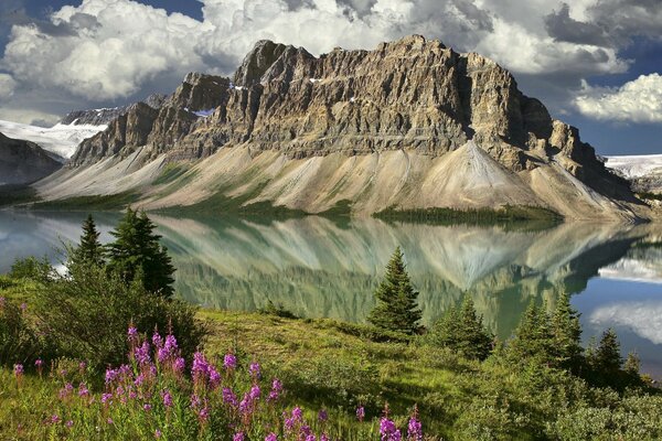 Peijaz montañas de naturaleza encantadora