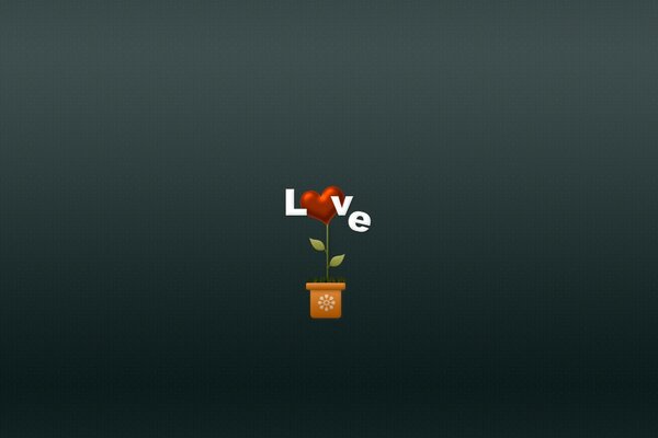 Love, drawing, pot de plante