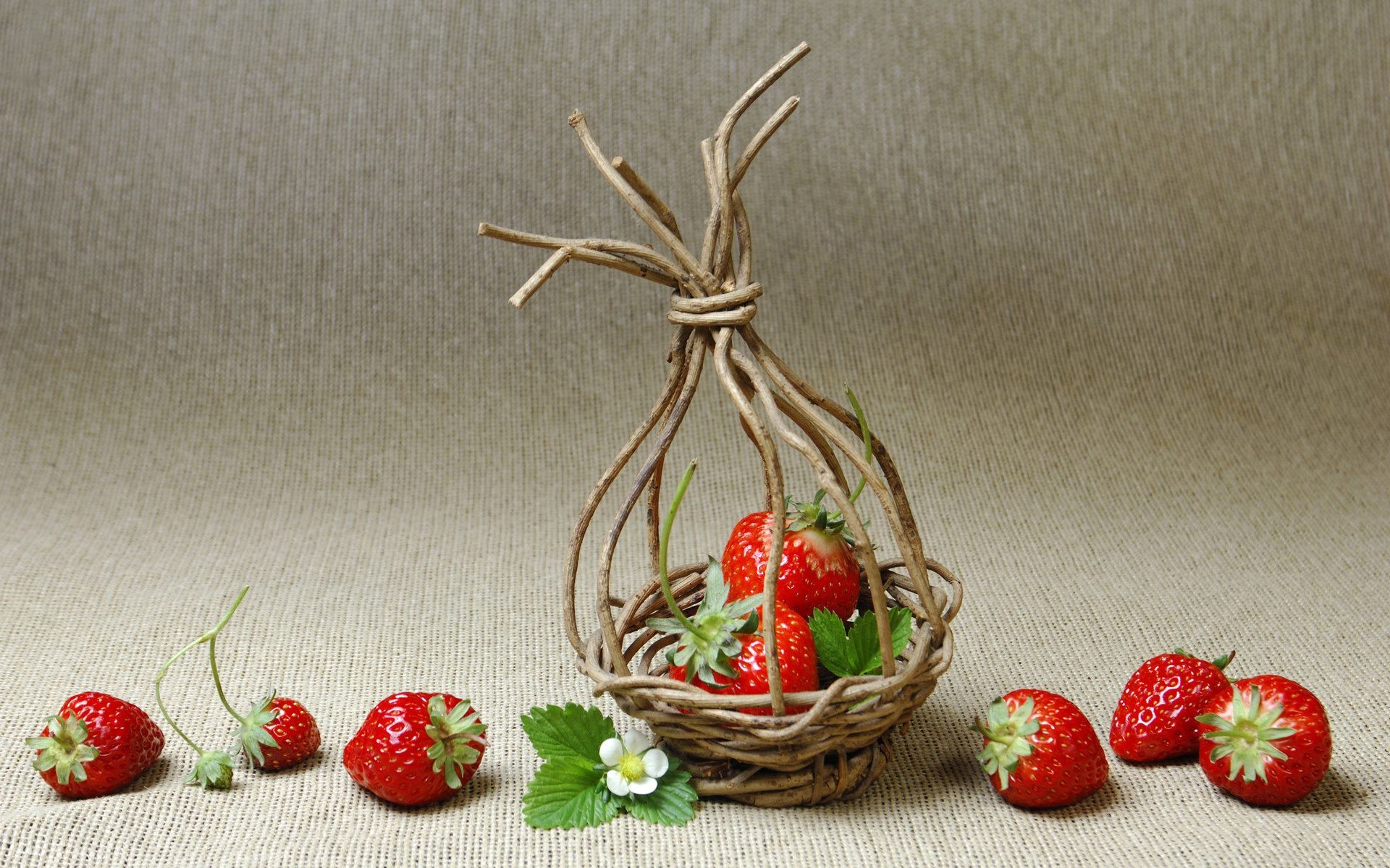 berries food fruit berry still life grow delicious leaf decoration sweet desktop