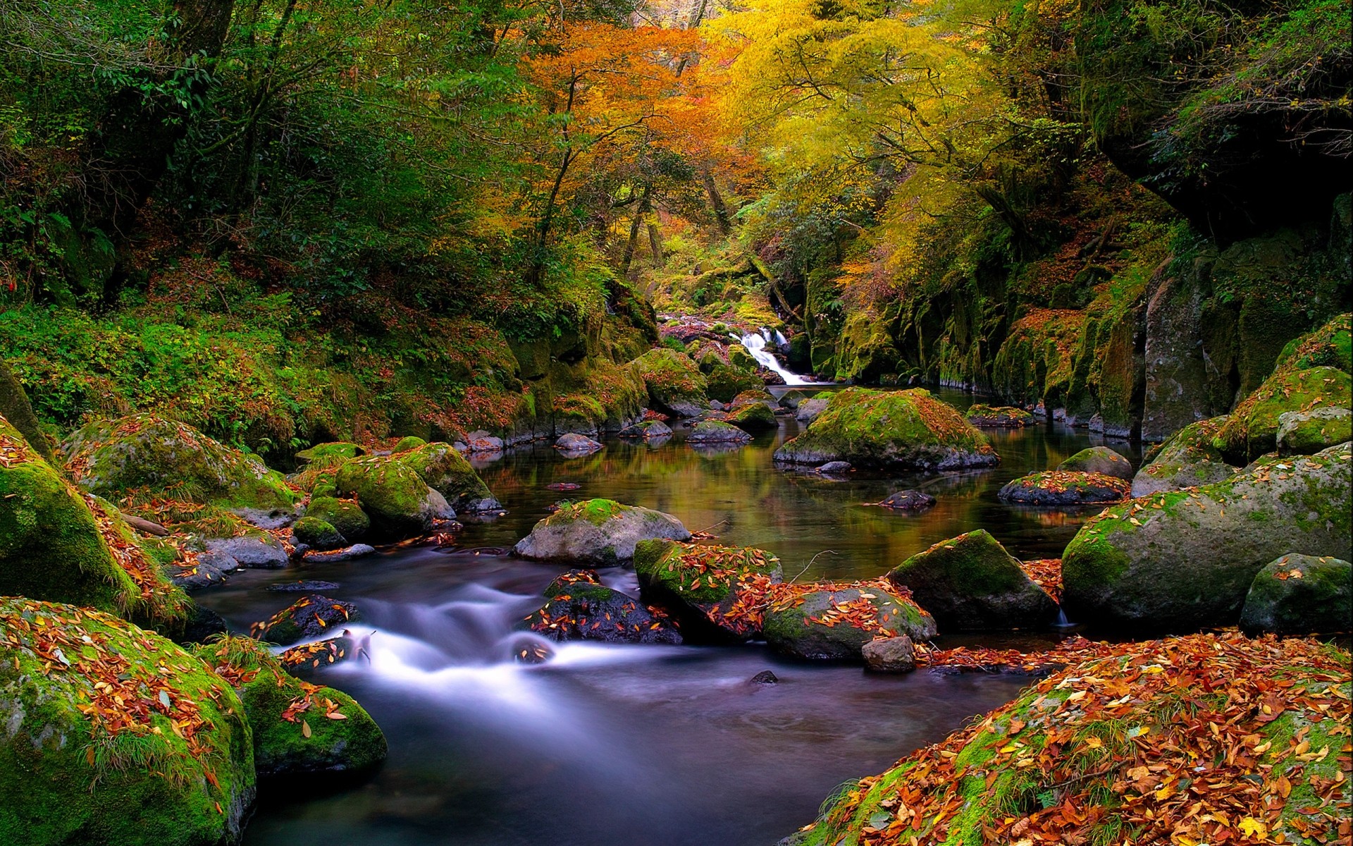 autumn fall water river leaf landscape nature wood tree stream waterfall outdoors mountain maple scenic park lush travel rock creek stones cascade trees