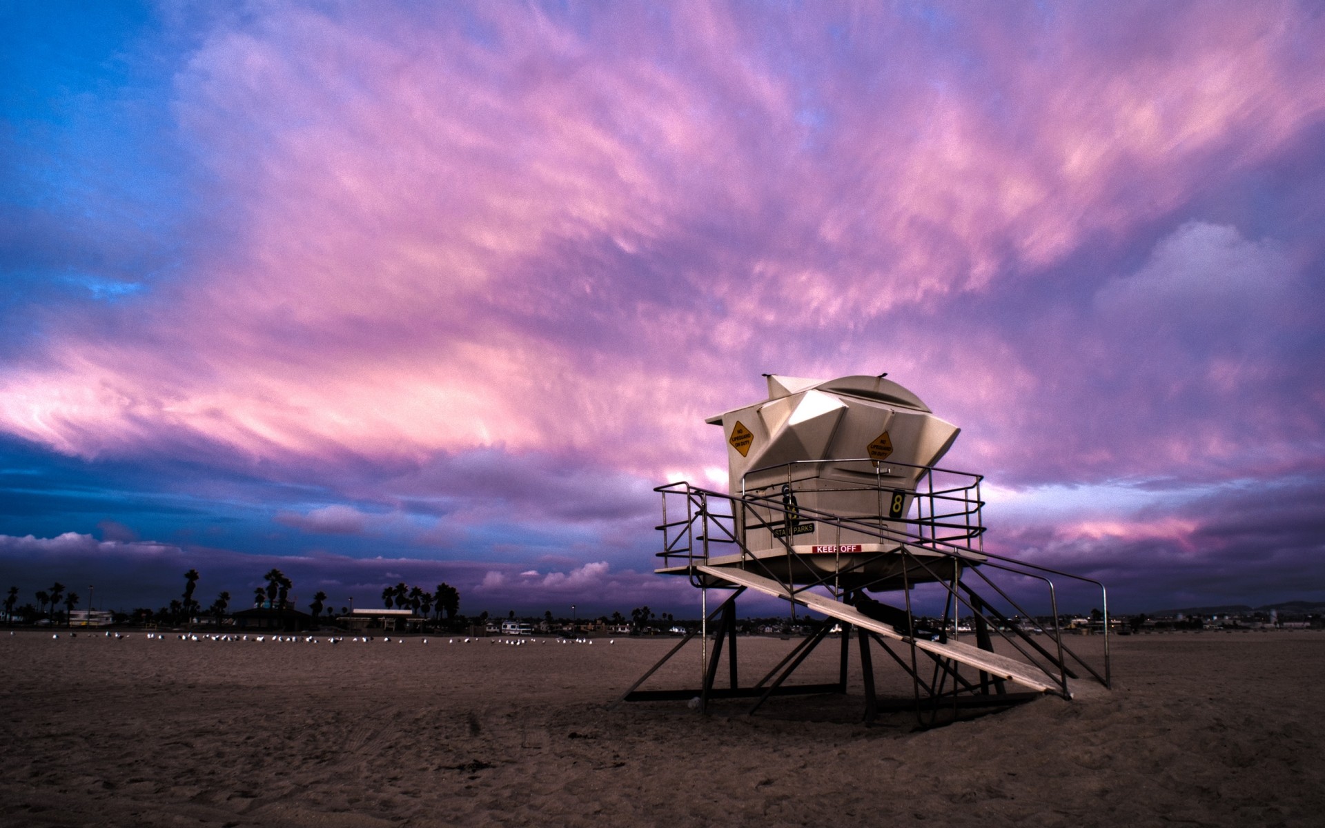 paesaggio tramonto cielo spiaggia paesaggio oceano acqua mare alba viaggi mare sera sole crepuscolo luce drc viola