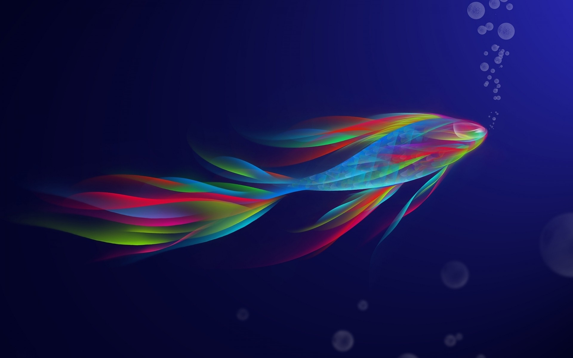 drawings abstract illustration graphic bright curve color design desktop art wave wallpaper dynamic shape line energy futuristic motion decoration blue background fantasy fish colors