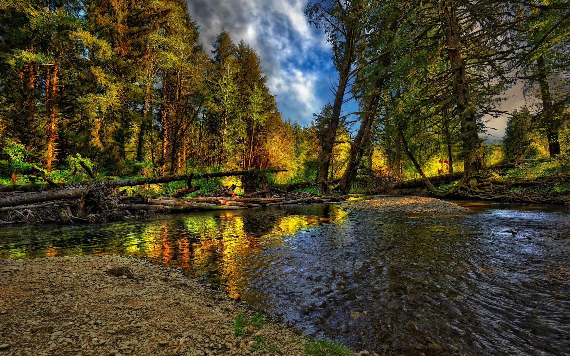 paysage eau nature automne paysage bois rivière arbre à l extérieur lac feuille parc réflexion scénique voyage flux beau temps arbres paysage