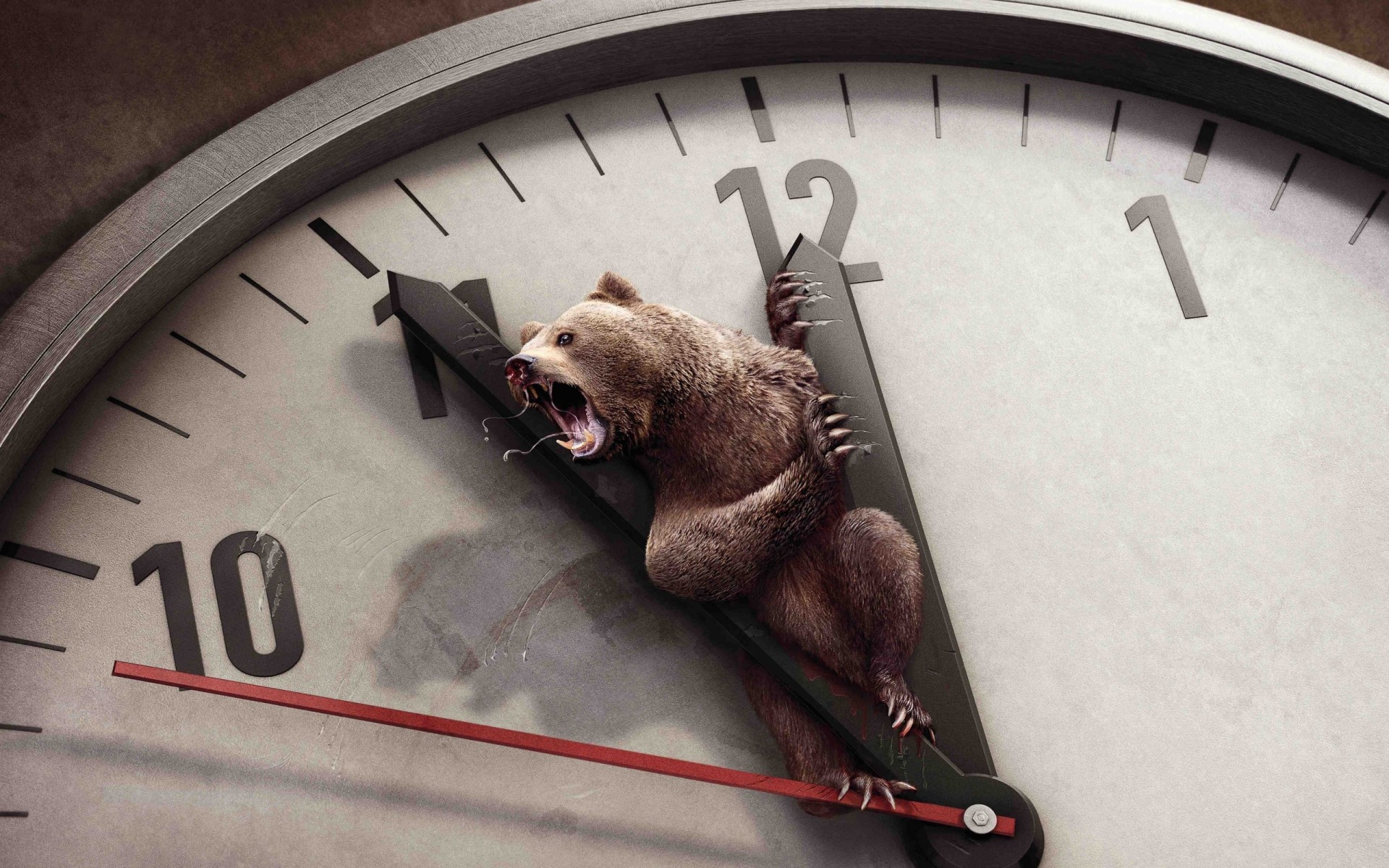 animaux horloge temps minute date limite alarme montre fin précision minuit minuterie compte à rebours nombre rush midi analogique affaires course rappel ours