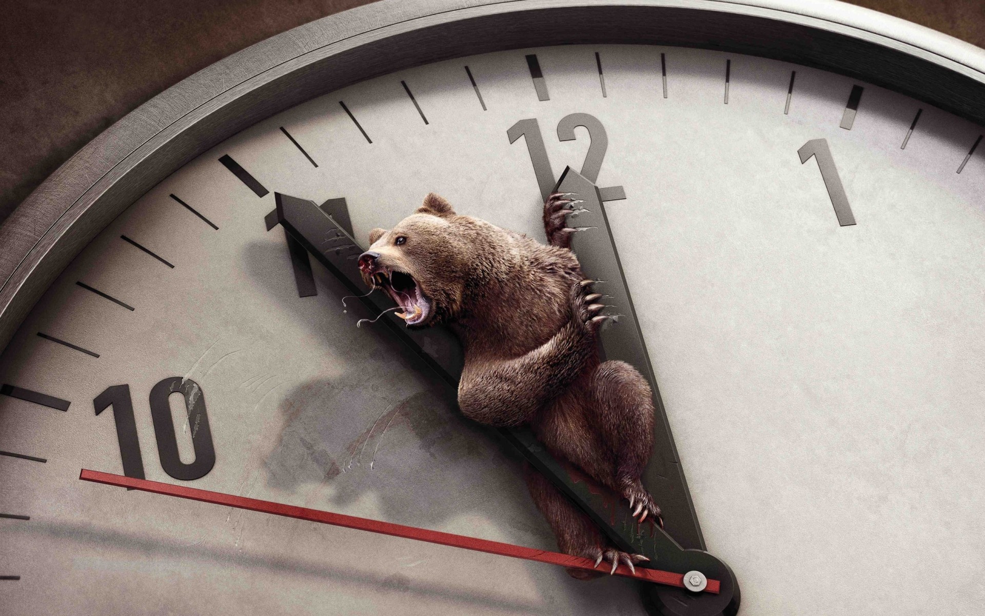 животные часы время минуту срок будильник смотреть поздно точность полночь таймер обратный отсчет количество раш полдень аналог бизнес гонки напоминание медведь