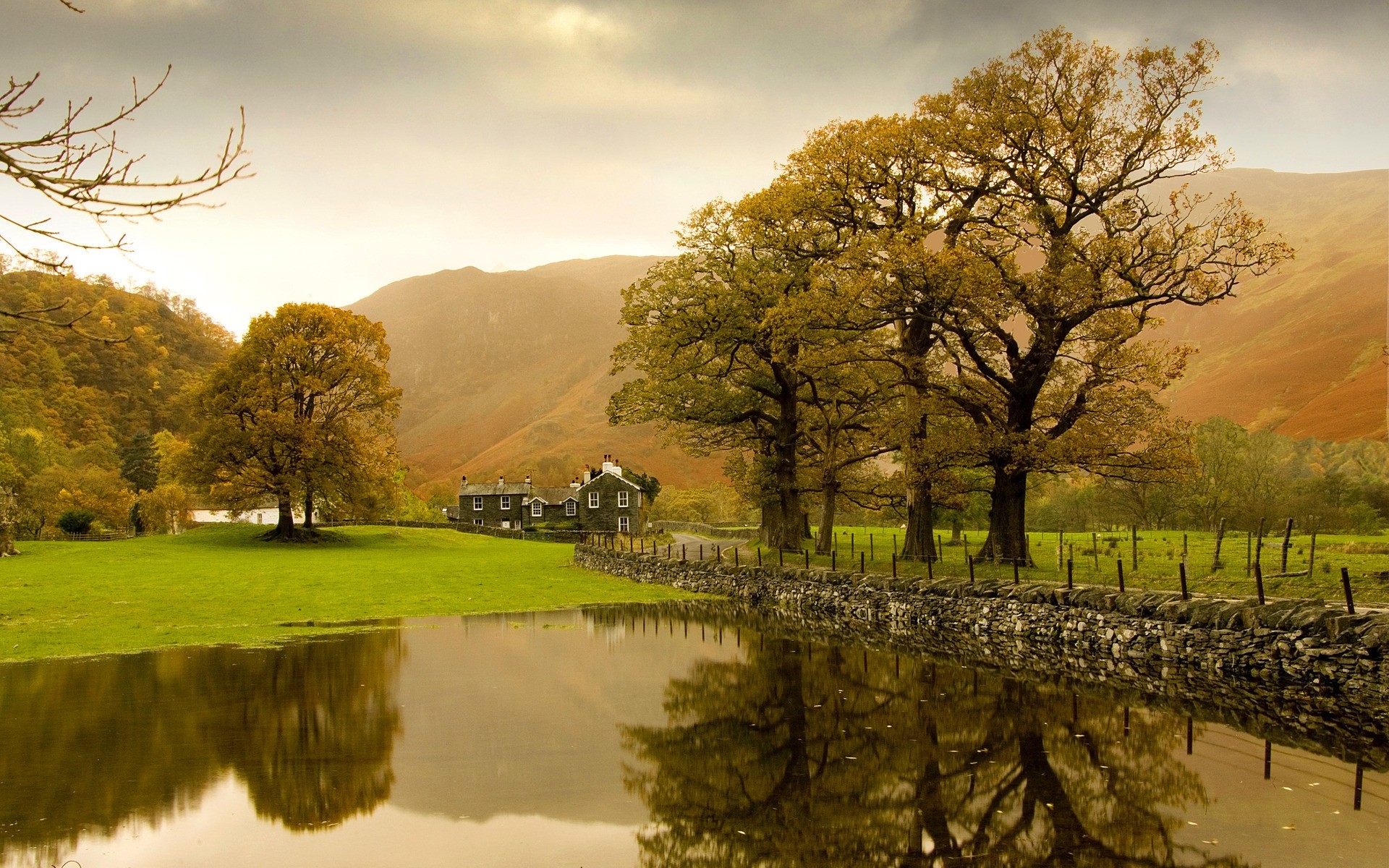 autumn tree landscape dawn nature fall outdoors water wood lake travel river sky countryside grass park scenic sunset rural leaf trees colours