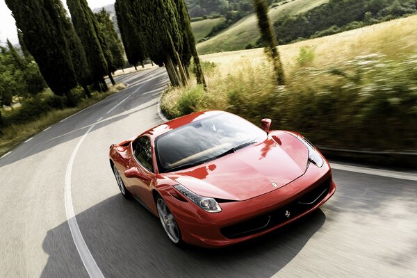 A red Ferrari car racing along the road among cypress trees