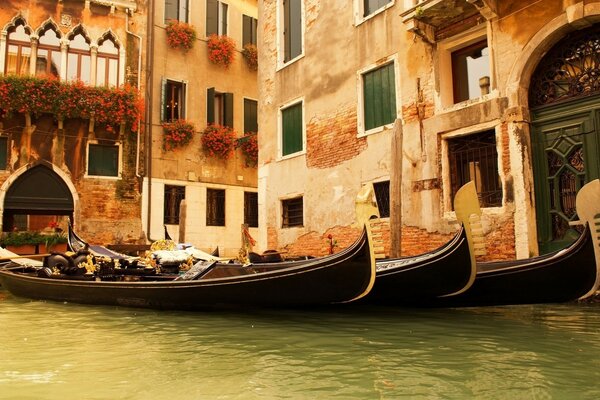 Gondolas in the Venetian canals