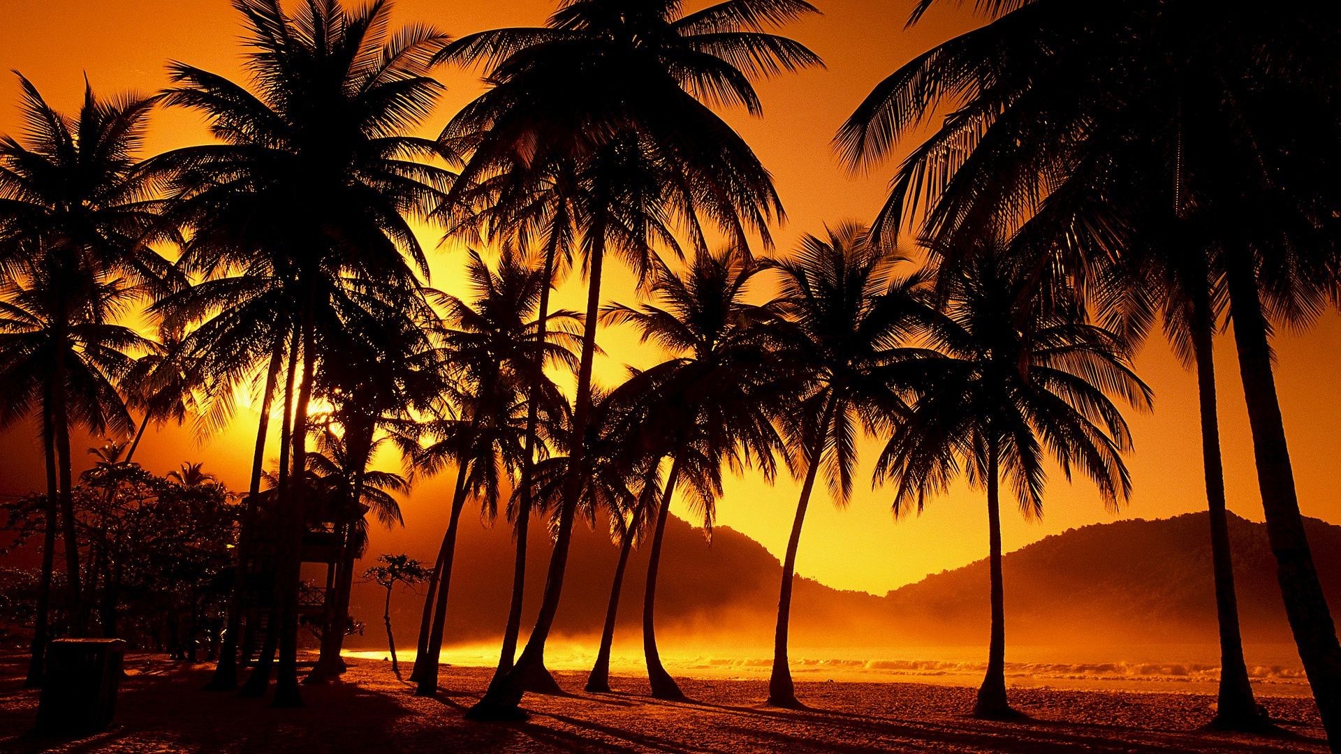 закат и рассвет пляж ладони солнце тропический закат песок кокосовое моря экзотические лето океан хорошую погоду остров пейзаж силуэт дерево отпуск идиллия рай