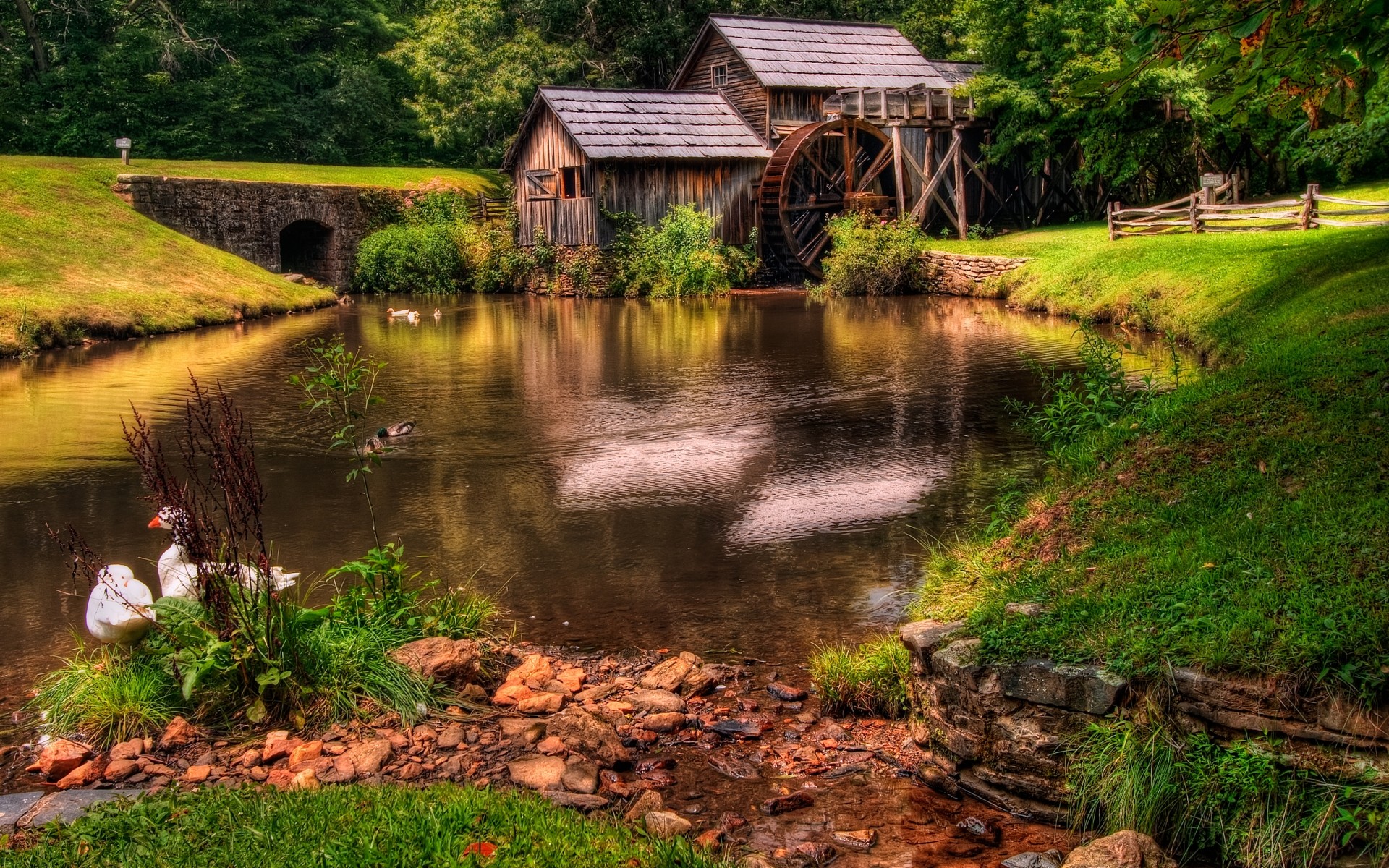 landschaft wasser holz fluss natur landschaft im freien brücke gras baum des ländlichen herbst see reisen blatt rustikal sommer landschaft schwimmbad haus drc wald