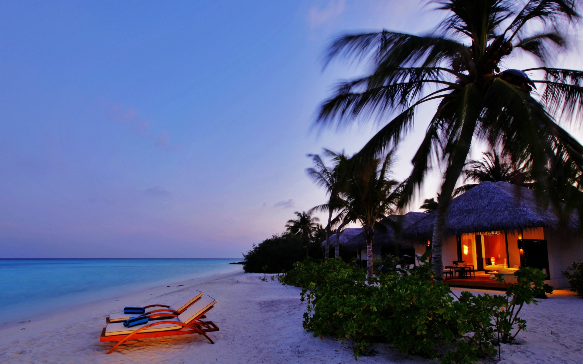 paysage plage tropical mer voyage eau sable océan île exotique station détente idylle palmiers été paysage vacances soleil vacances hôtel mer chalet nuit palmiers